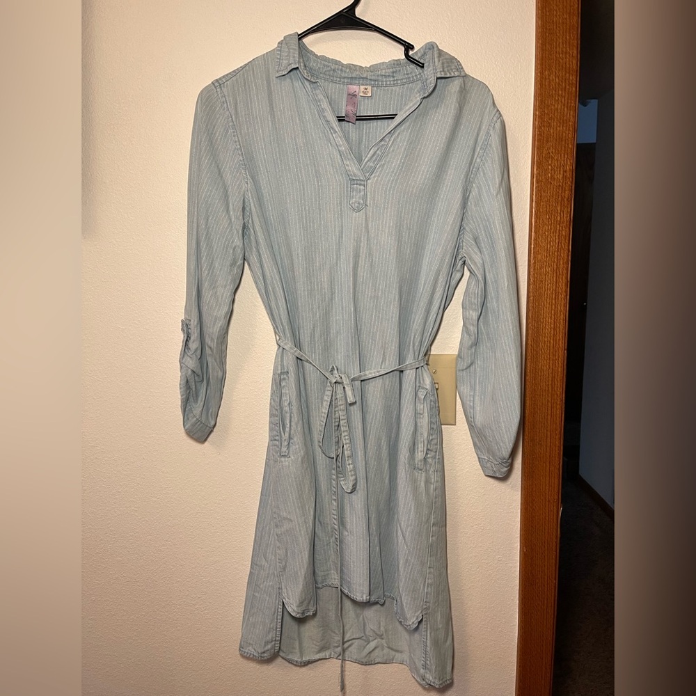 Alya Pinstripe Dress